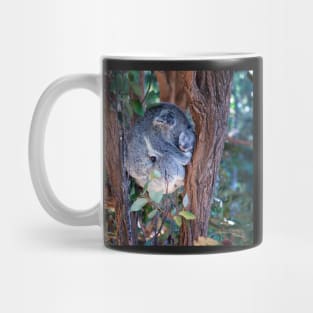 Koala and baby Mug